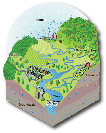 Illustration of a Watershed PTRC Protected Image