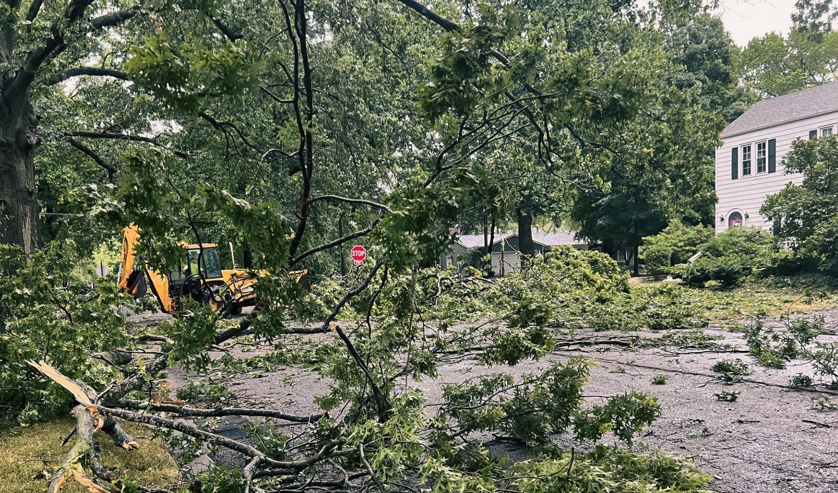 Natural Disaster Trees Down