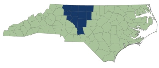 map of 12 counties served by Region G