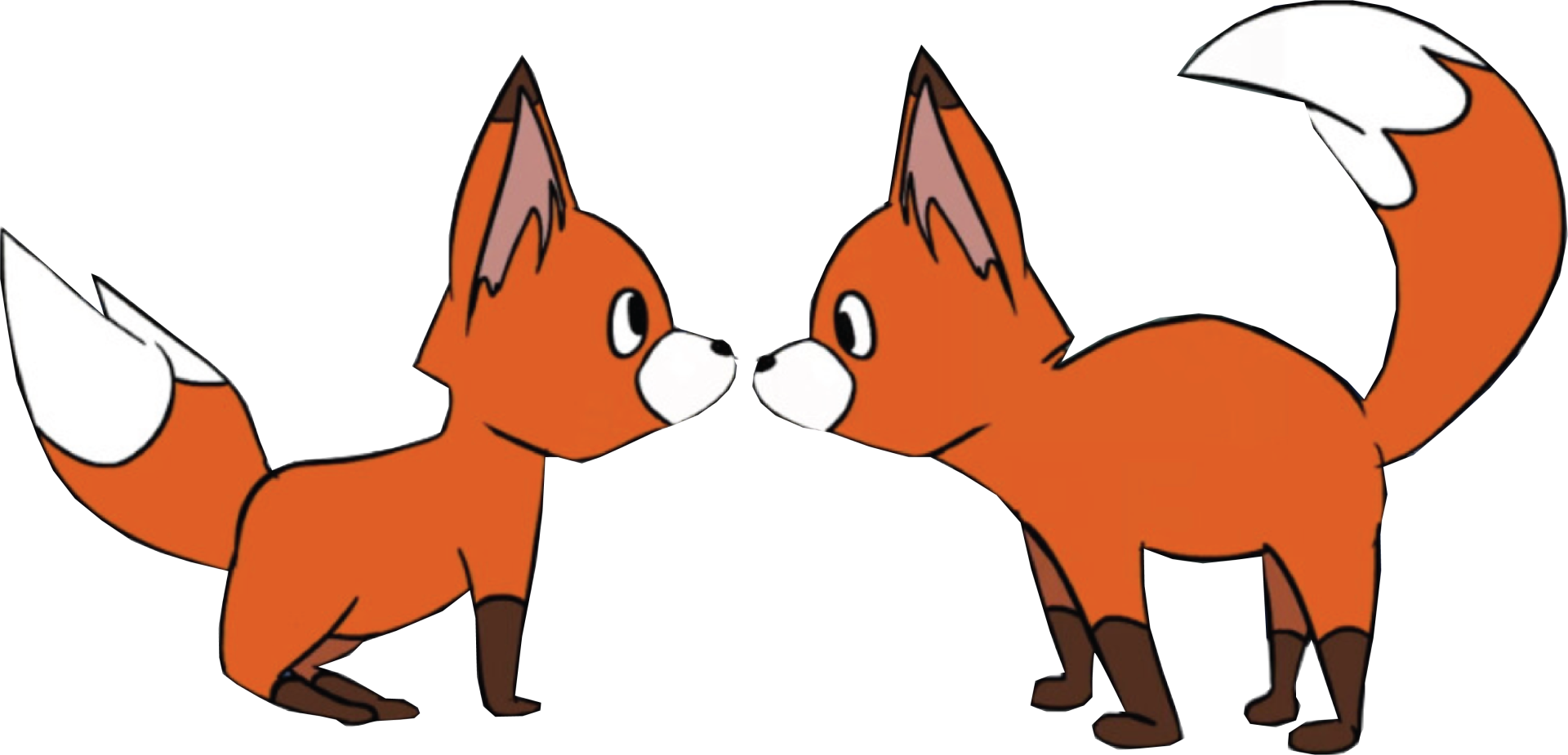 two_foxes_noses_touching